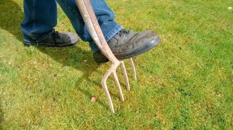Why Aerating Helps Your Lawn