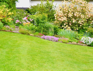 why you should leave lawn care maintenance to professionals