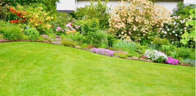 why you should leave lawn care maintenance to professionals