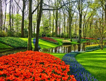 Beautiful green grass with red flowers demonstrates how to landscape around a pond water feature