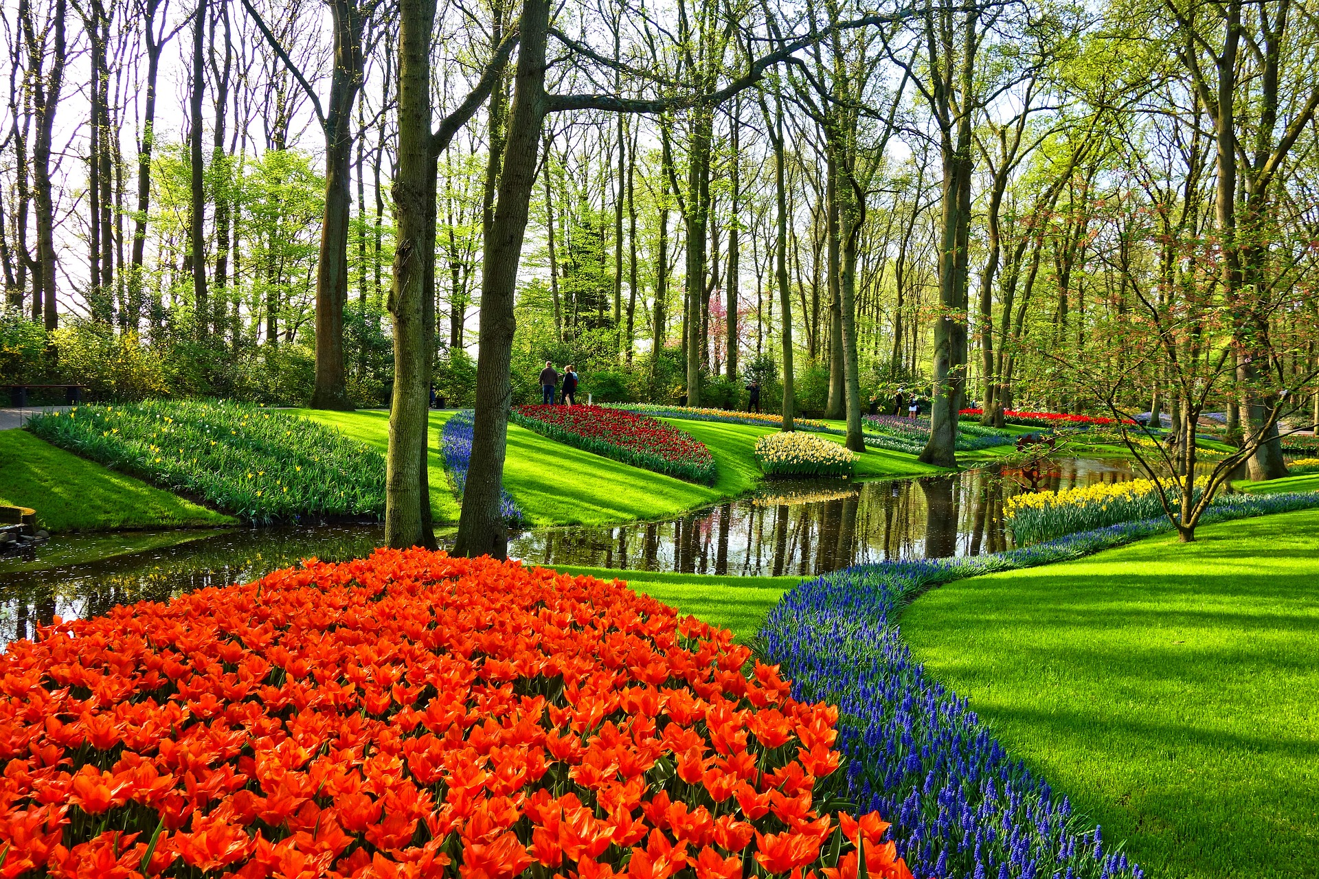 Beautiful green grass with red flowers demonstrates how to landscape around a pond water feature