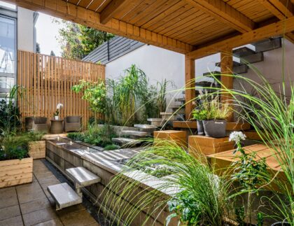 Modern type of landscape backyard with concrete patio, reed grass, and steps