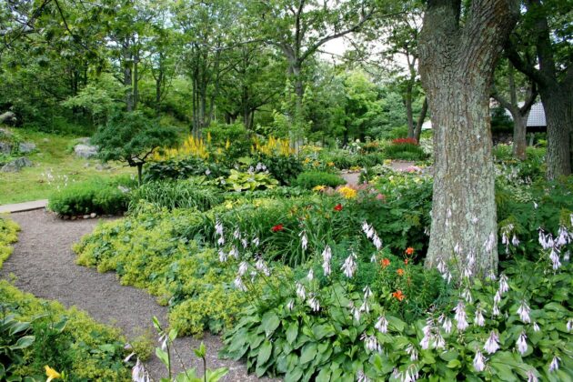 A gardener who knows how to landscape around trees planted this lush garden of towering trees and lush, shade tolerant perennials.