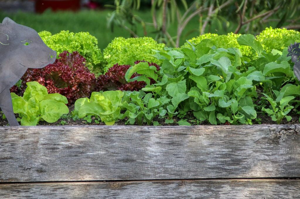 One simple landscaping idea is to install a raised garden bed like this one that features salad greens and rustic decor.