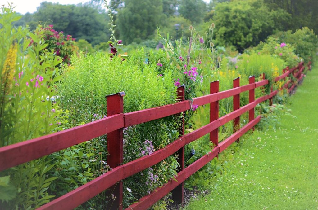 This fence divides lush lawn from a mixed perennial garden giving an attractive appearance to both sides of the fence.