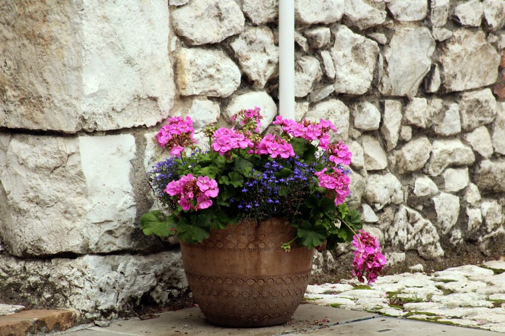 A pot of colorful flowers, like these geraniums, add vibrant color to small outdoor spaces.