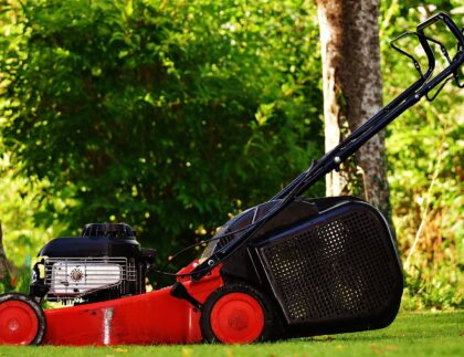 A lawn mower is a critical piece of lawn care equipment for any yard with turf.