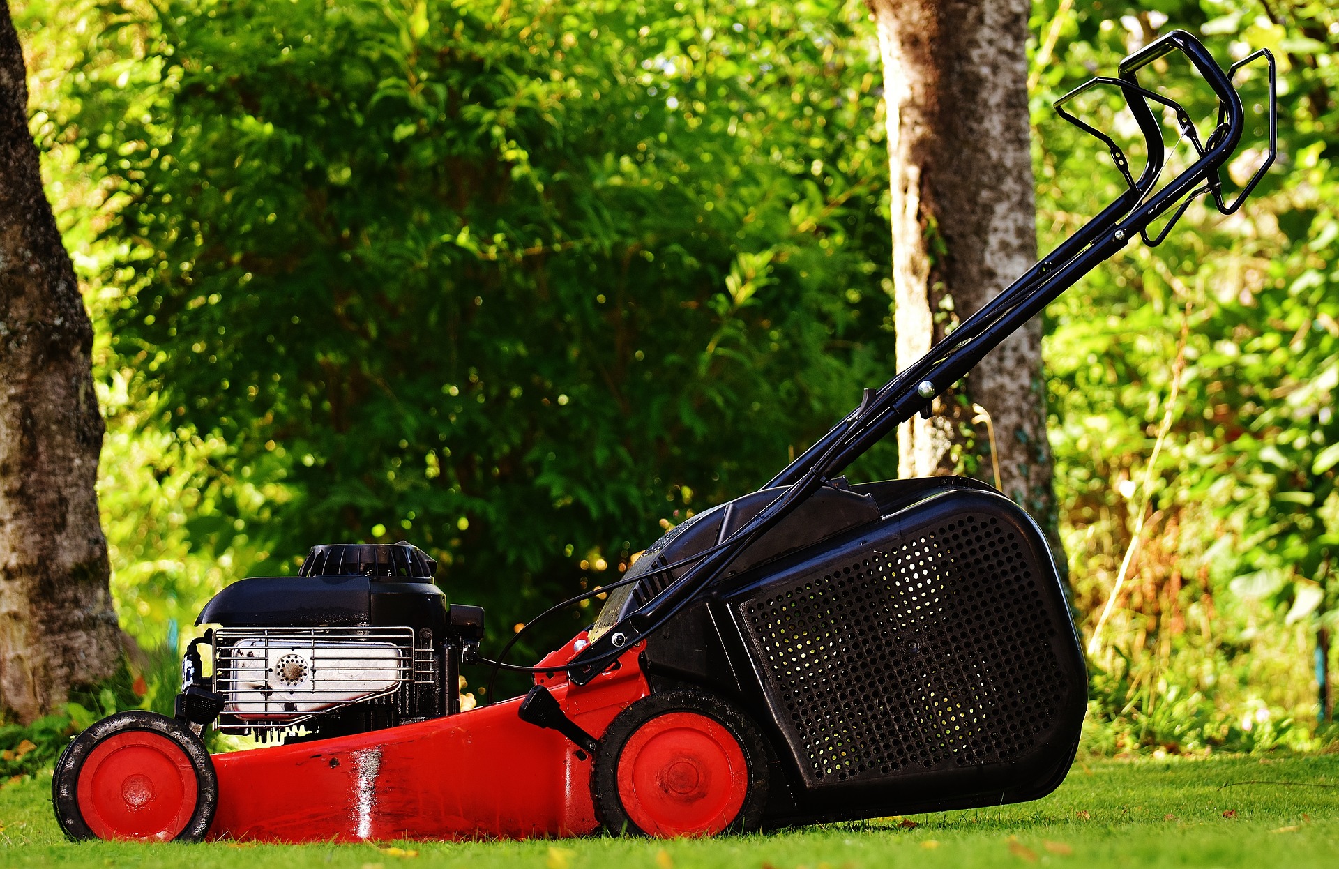 A lawn mower is a critical piece of lawn care equipment for any yard with turf.