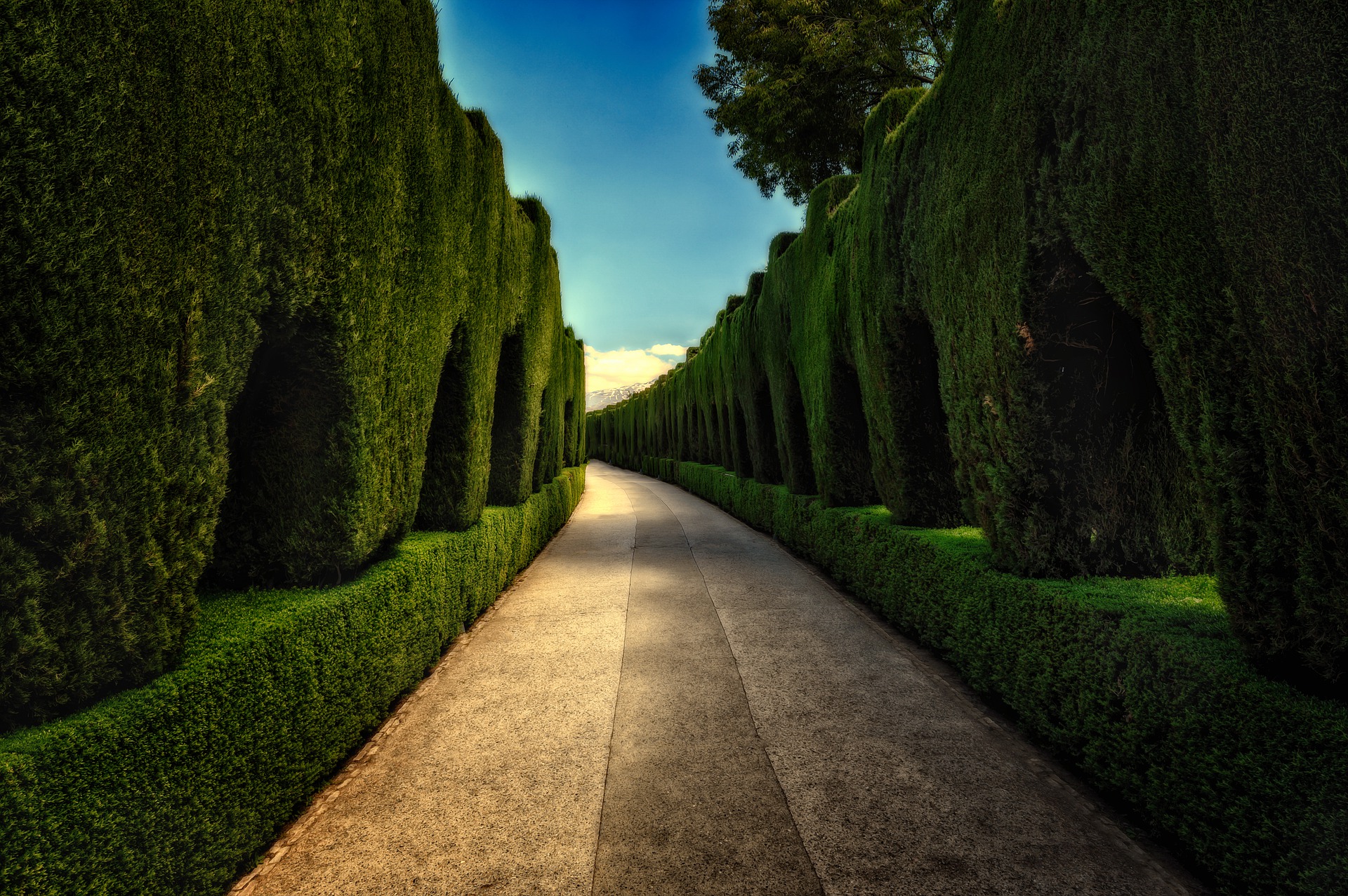 Landscaping with arborvitae shrubs yields gorgeous results like this pathway and hedge combination.