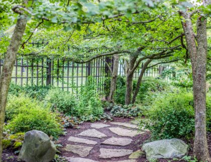 A stepping stone path, narrow garden beds, and plants sized appropriately to the space keep this side yard landscaping beautiful and functional.