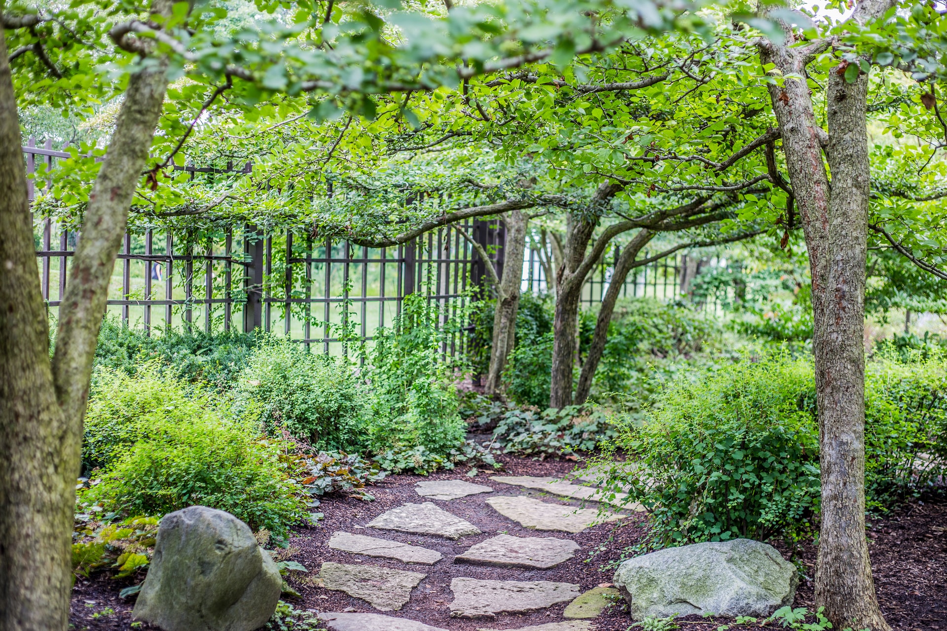 A stepping stone path, narrow garden beds, and plants sized appropriately to the space keep this side yard landscaping beautiful and functional.