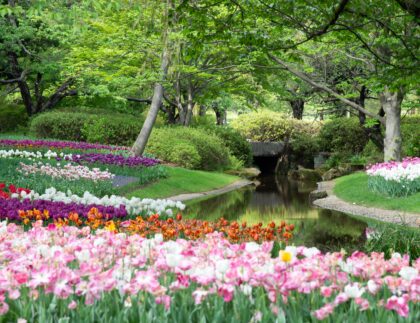 Colorful pink, white, orange, and red flowers and an emerald lawn demonstrate spring lawn care done right.