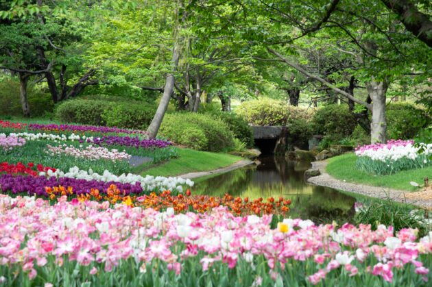 Colorful pink, white, orange, and red flowers and an emerald lawn demonstrate spring lawn care done right.