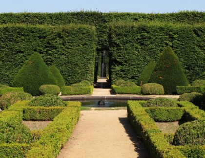 Elegant boxwood landscaping graces this French country-style courtyard.