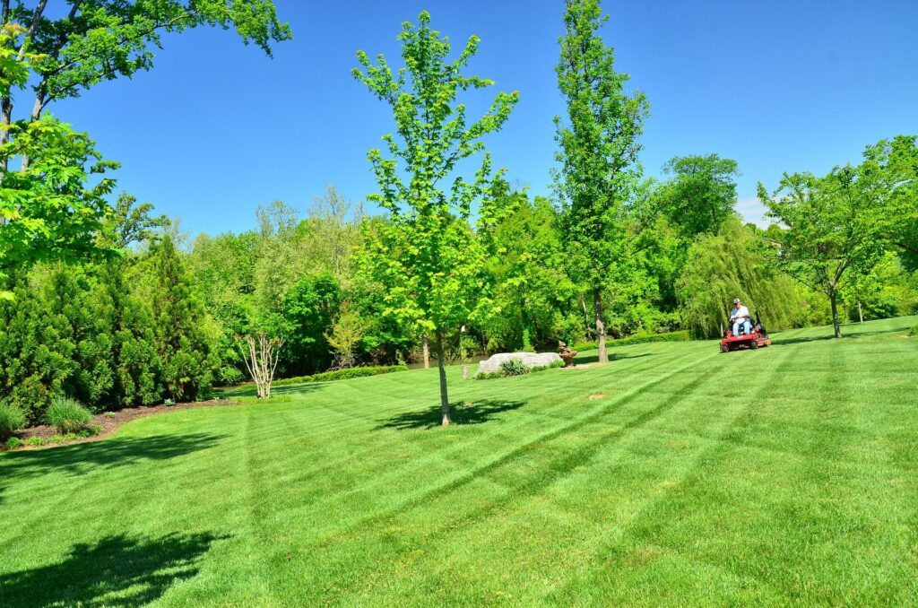 This expansive, green lawn creates a lush backdrop for entertaining and family gatherings-qualities that absolutely increase curb appeal.