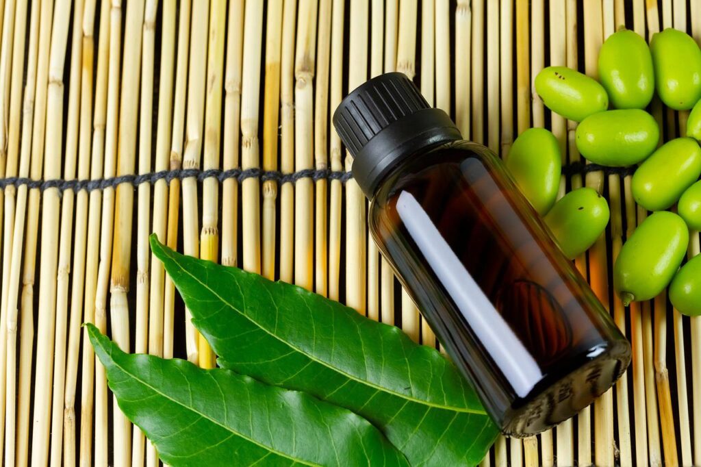 Neem oil is a staple of organic gardening and is used as an insecticide.