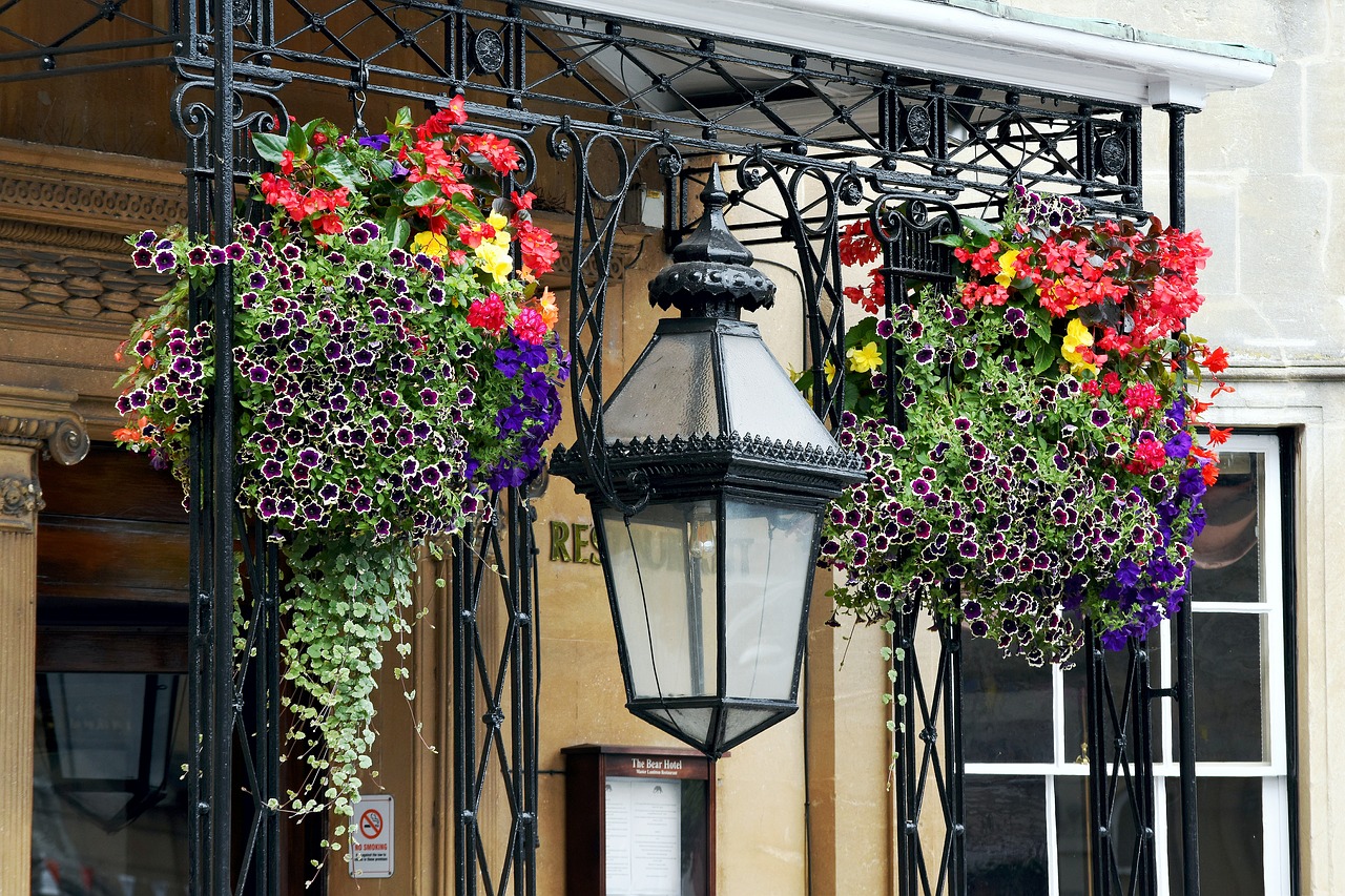 When you're learning how to hang plants, using the right varieties like these baskets with petunias, goes a long way!